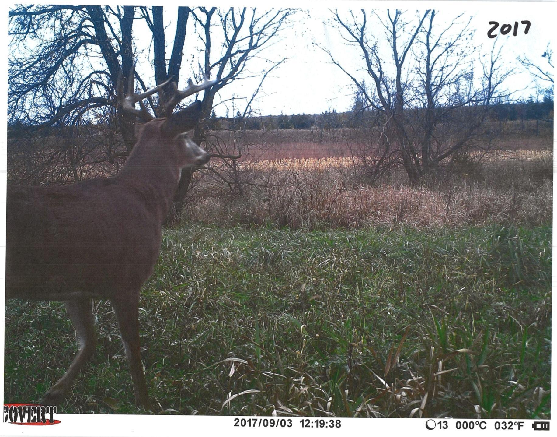 Screenshot_20250906_000754_Adobe Acrobat.jpg