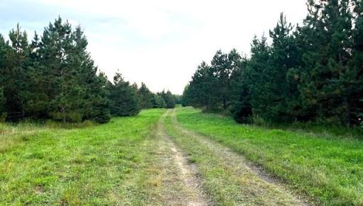 TBD Leonard Rd / Soo Line Rd, Leonard, MN 56652