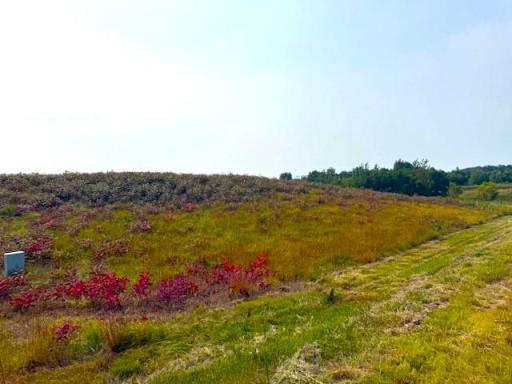 TBD 205th Street, Battle Lake, MN 56515