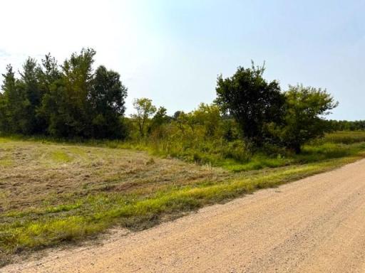 TBD 205th Street, Battle Lake, MN 56515