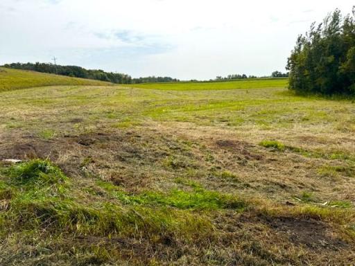 TBD 205th Street, Battle Lake, MN 56515