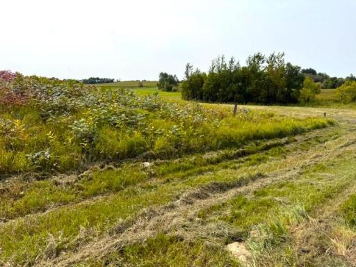 TBD 205th Street, Battle Lake, MN 56515