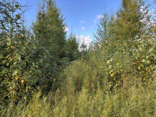 TBD State Highway 210, Mcgregor, MN 55760