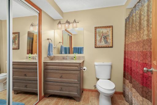Lower Level Bathroom
