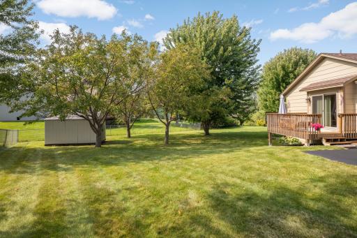 Shed on the property