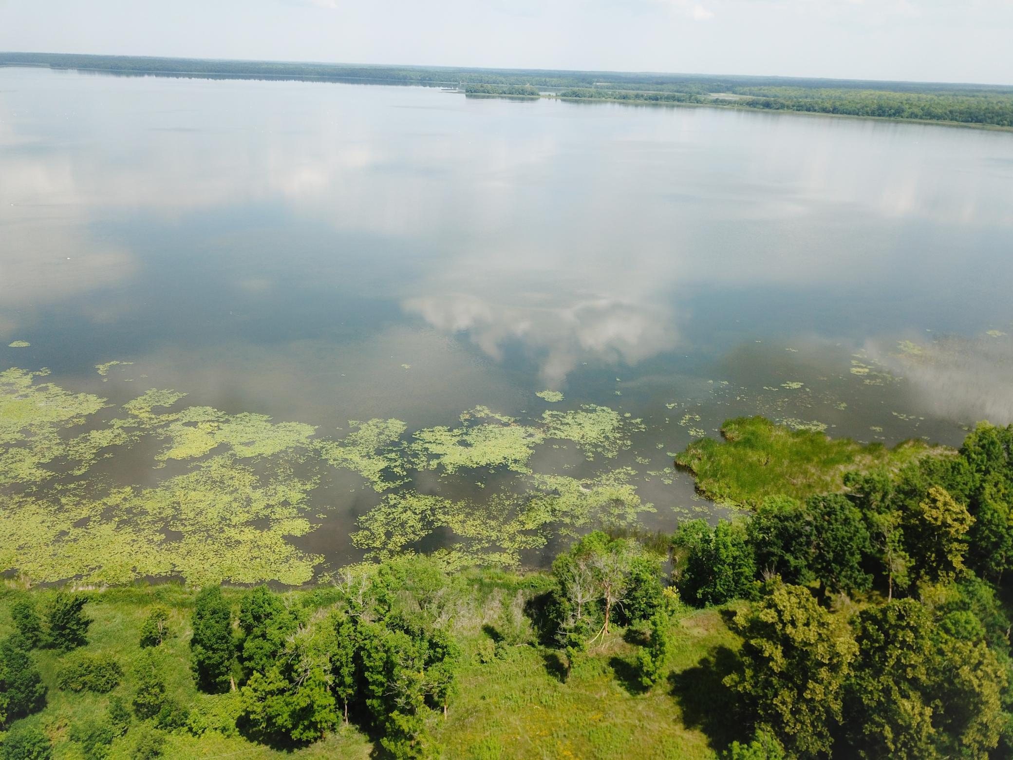 DJI_0081.JPG