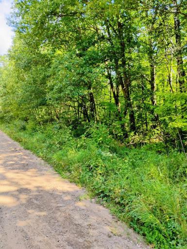 TBD Olson Road, Hinckley, MN 55037