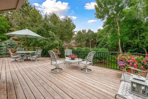 1250 French Creek Drive, Wayzata, MN 55391