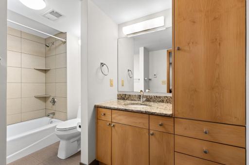 Lower Level Bath