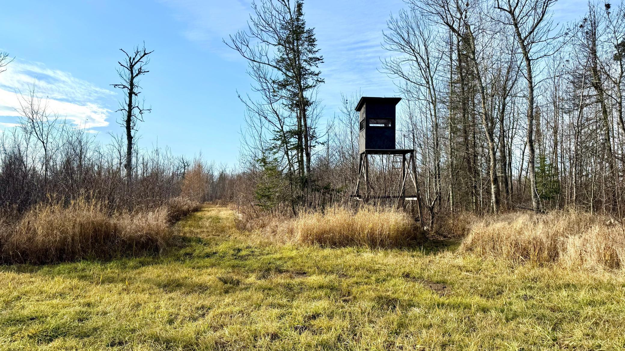 IMG_4265 (1) - Copy.jpg