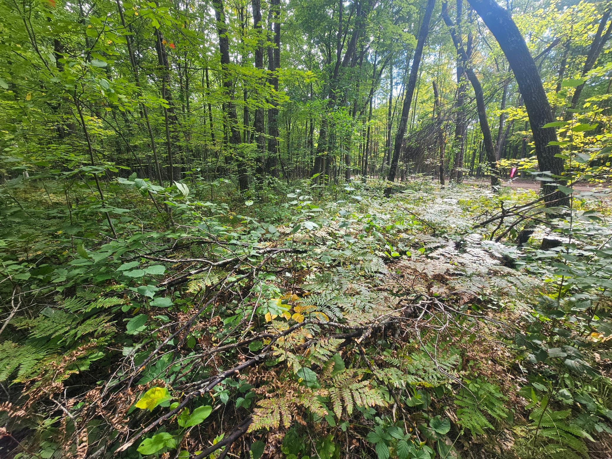 Property photo for Lot 5 Ken Can Lane, Webster, WI 54893