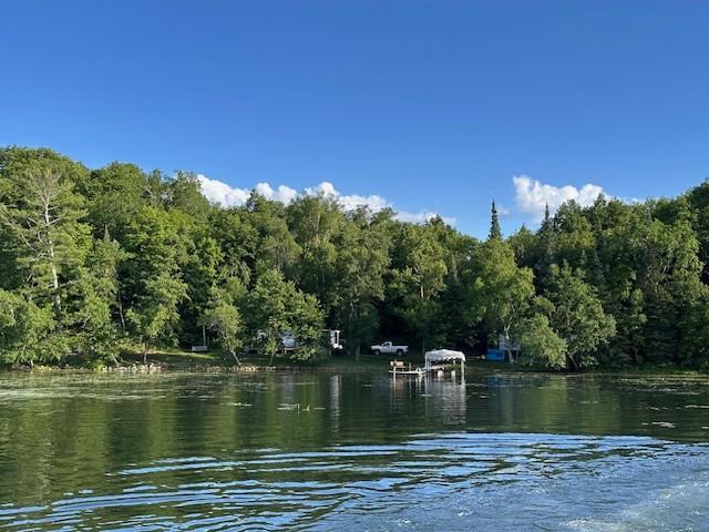 View from the Lake.jpg