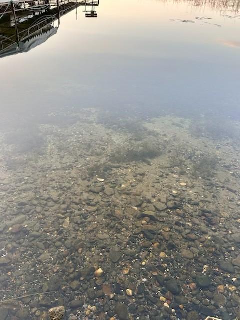 Lake shore bottom image.jpg