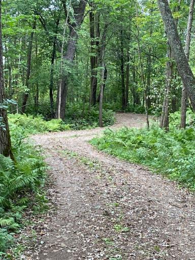 improved road over the hills and through the woods