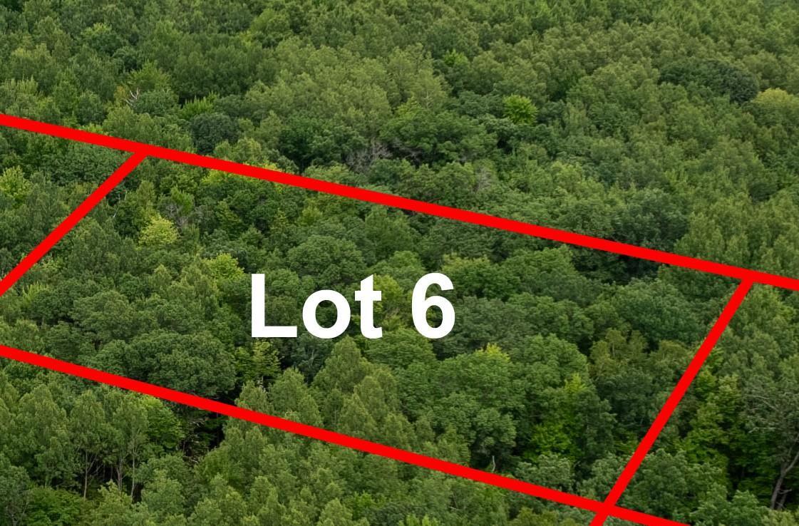 2 MN MLS.jpg