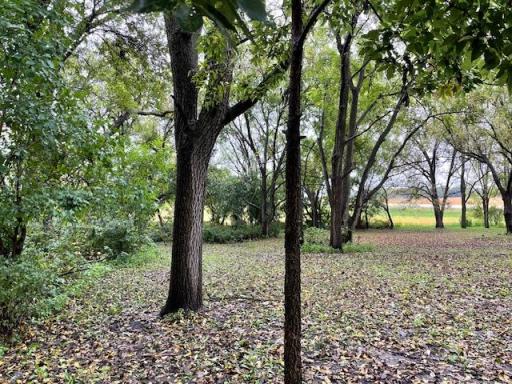 12624 US Highway 212, Sacred Heart, MN 56285