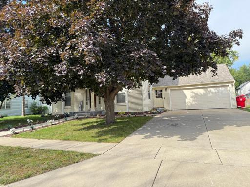 406 2nd Avenue SE, Pine Island, MN 55963