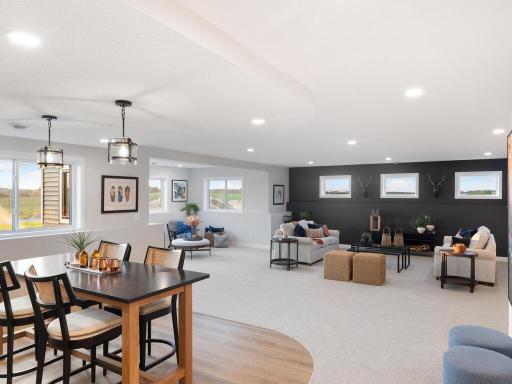Fantastic light with all the windows in this look-out lower level.