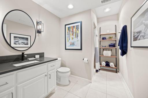 Lower level bath with large walk-in shower