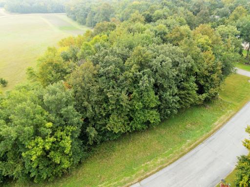 dji_fly_20250910_095714_537_1757516901253_photo.JPG