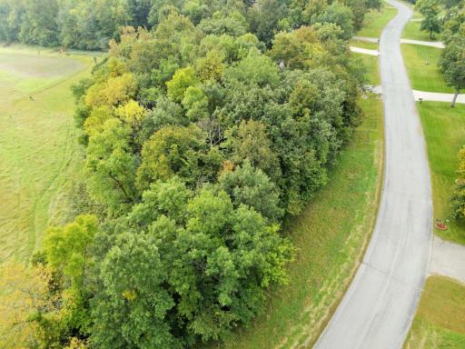 dji_fly_20250910_095800_541_1757516861126_photo.JPG