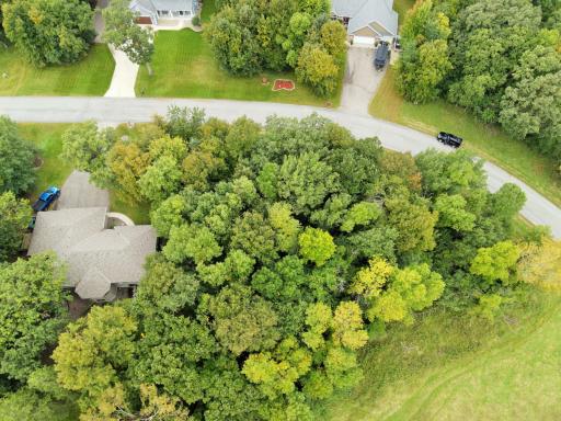 dji_fly_20250910_100138_557_1757516794994_photo.JPG