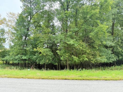 L2 B2 83rd Street NE, Spicer, MN 56288