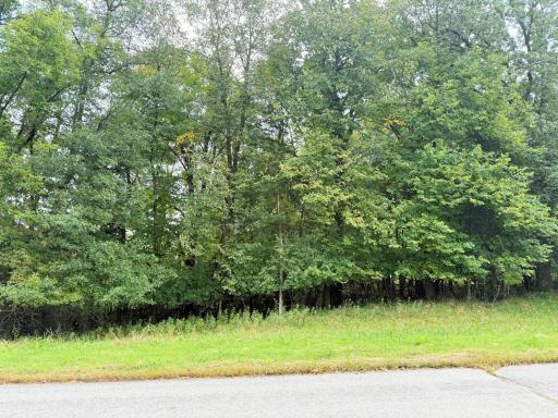 L2 B2 83rd Street NE, Spicer, MN 56288