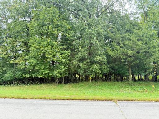 L2 B2 83rd Street NE, Spicer, MN 56288