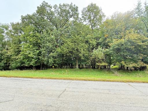 L2 B2 83rd Street NE, Spicer, MN 56288