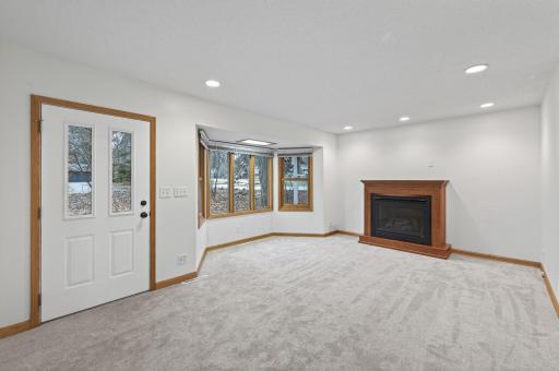 Well maintained gas fireplace for those cold MN days!