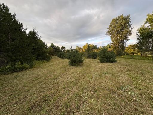 Lot 2 830th Avenue, River Falls, WI 54022