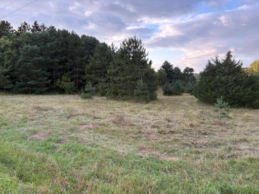 Lot 2 830th Avenue, River Falls, WI 54022