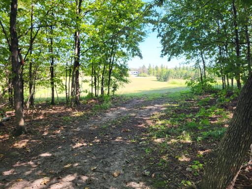 Lot 3 Pleasant Lake Road, Underwood, MN 56586