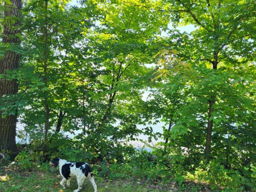 Lot 3 Pleasant Lake Road, Underwood, MN 56586