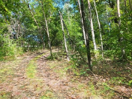 Lot 3 Pleasant Lake Road, Underwood, MN 56586