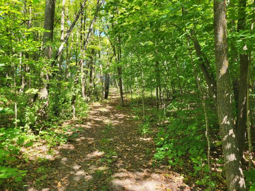 Lot 3 Pleasant Lake Road, Underwood, MN 56586