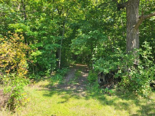 Lot 3 Pleasant Lake Road, Underwood, MN 56586