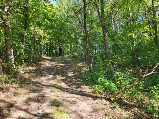 Lot 3 Pleasant Lake Road, Underwood, MN 56586