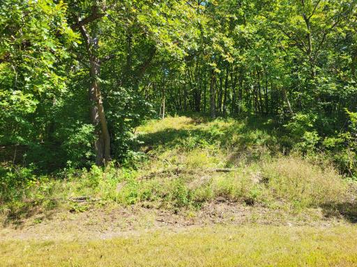 Lot 3 Pleasant Lake Road, Underwood, MN 56586