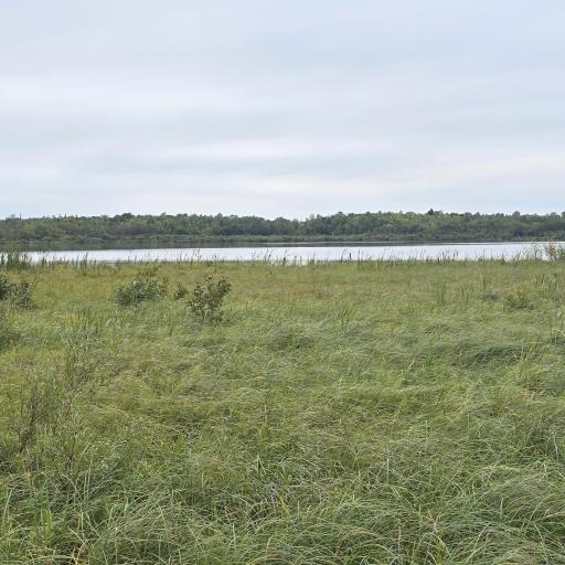 TBD S Gull Lake Rd NE, Tenstrike, MN 56683