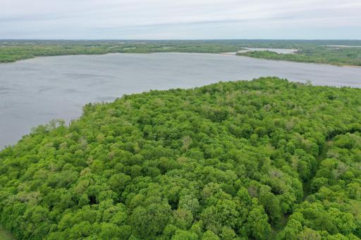 (Lot 7) TBD NE Rock Lake Road, Rochert, MN 56578