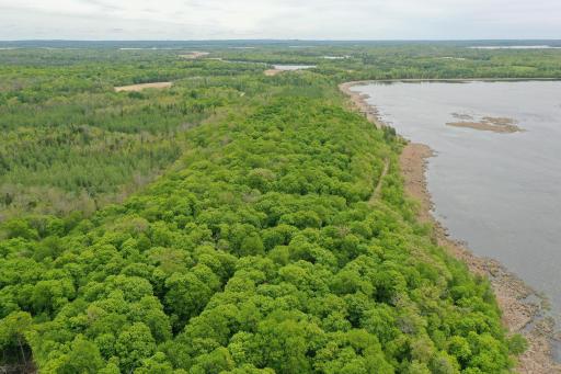 (Lot 7) TBD NE Rock Lake Road, Rochert, MN 56578