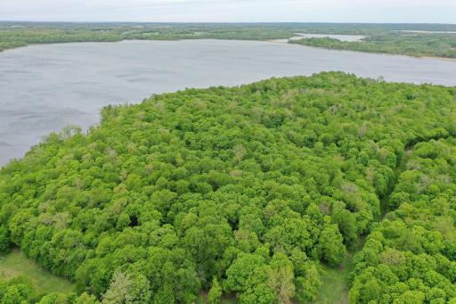 (Lot 7) TBD NE Rock Lake Road, Rochert, MN 56578