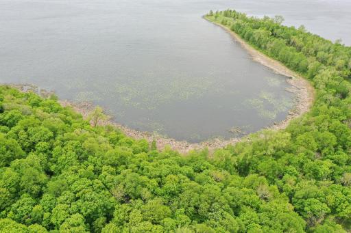 (Lot 7) TBD NE Rock Lake Road, Rochert, MN 56578