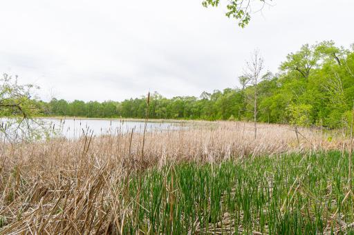 (Lot 7) TBD NE Rock Lake Road, Rochert, MN 56578