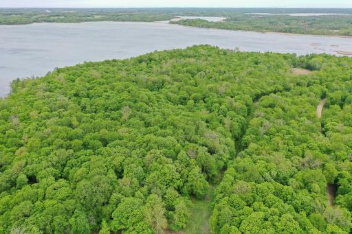 (Lot 7) TBD NE Rock Lake Road, Rochert, MN 56578
