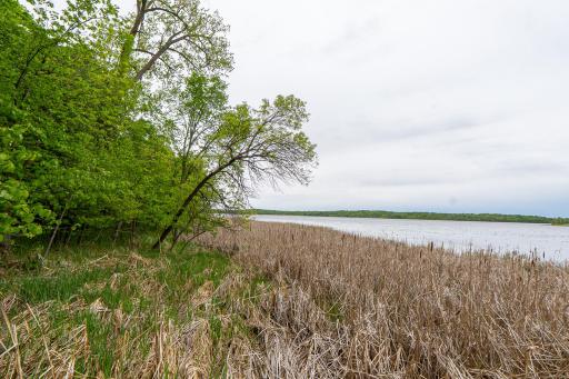 (Lot 7) TBD NE Rock Lake Road, Rochert, MN 56578