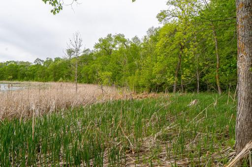 (Lot 7) TBD NE Rock Lake Road, Rochert, MN 56578