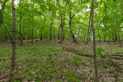 (Lot 7) TBD NE Rock Lake Road, Rochert, MN 56578